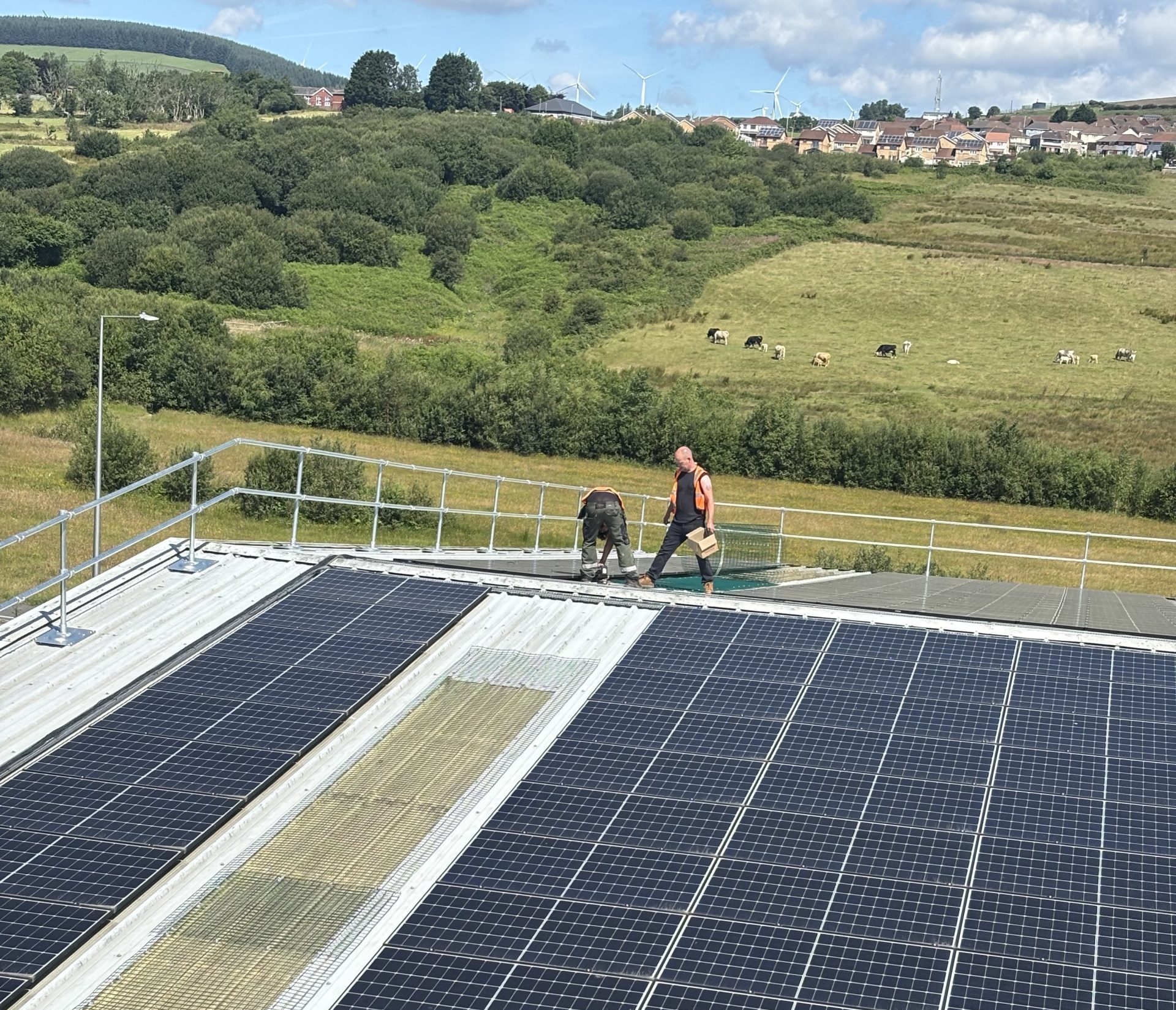 solar panels for business