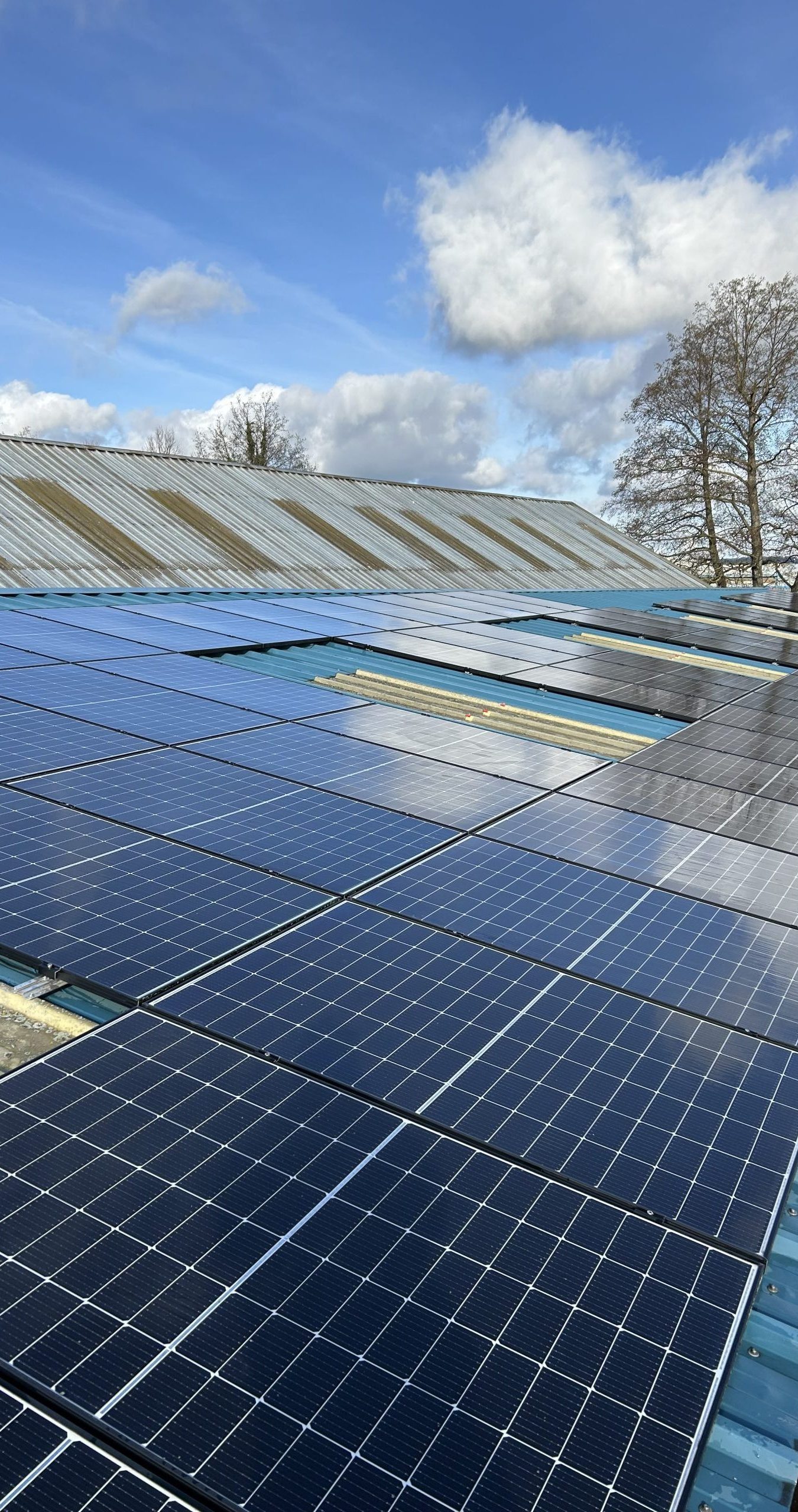 solar panels for business