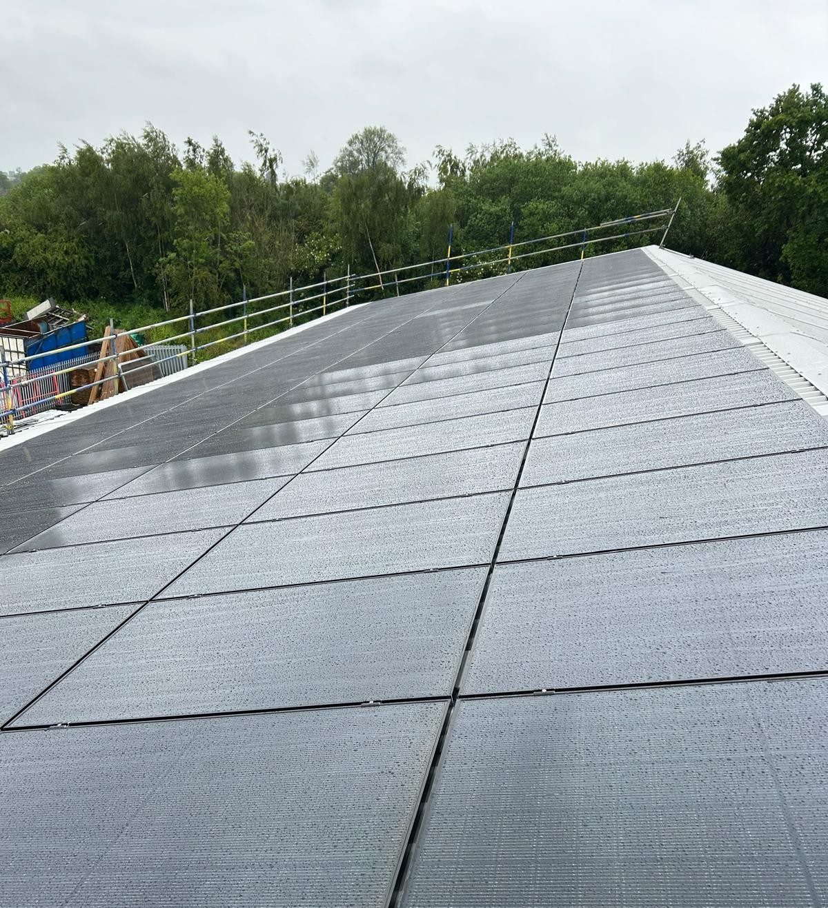 carbon neutral vs net zero