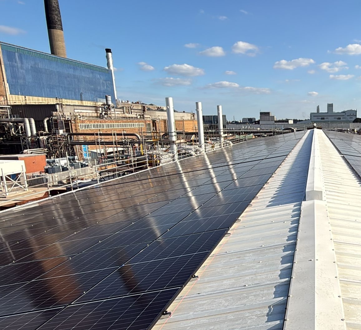carbon neutral vs net zero
